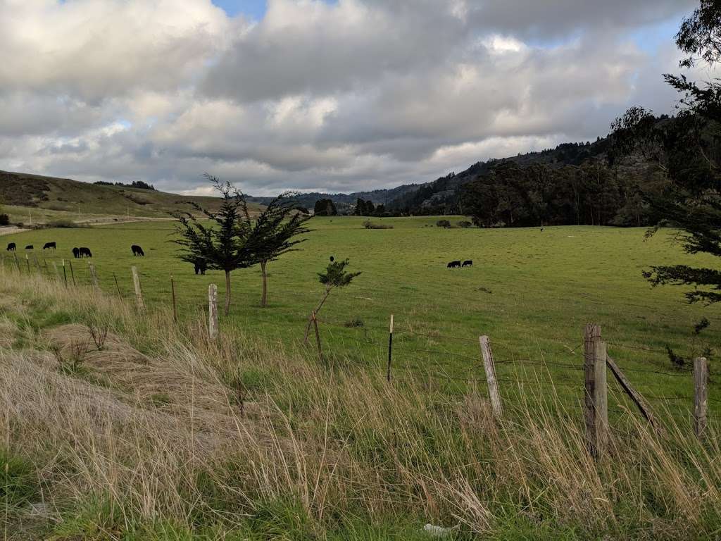 Upper Lake Trail Jack London Park | Lake Service Rd, Glen Ellen, CA 95442, USA