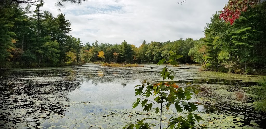 Harold Parker State Forest | 133 Jenkins Rd, Andover, MA 01810, USA | Phone: (978) 475-7972