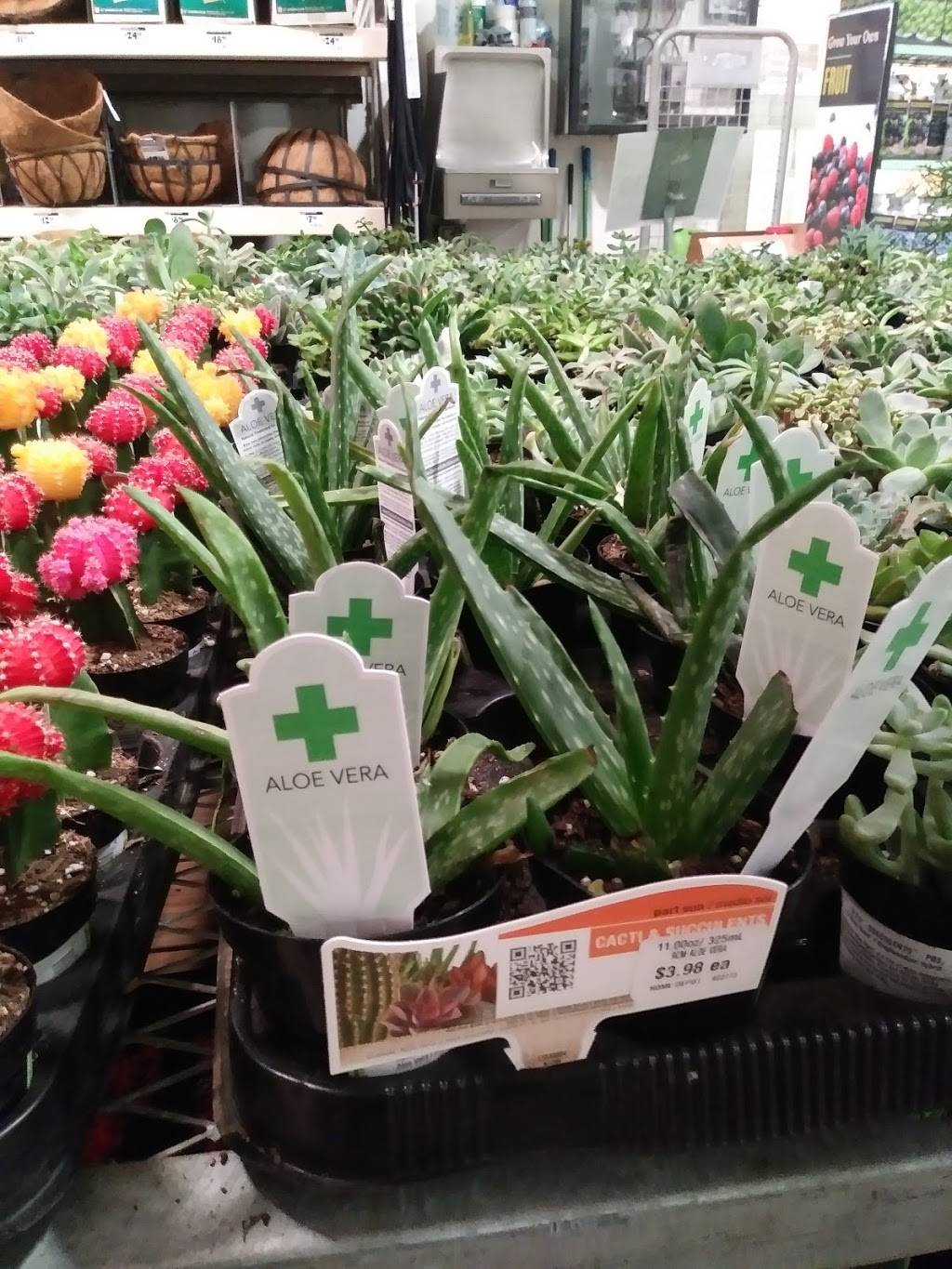 Garden Center at The Home Depot | 3639 E S Federal Way, Boise, ID 83705, USA | Phone: (208) 388-8500