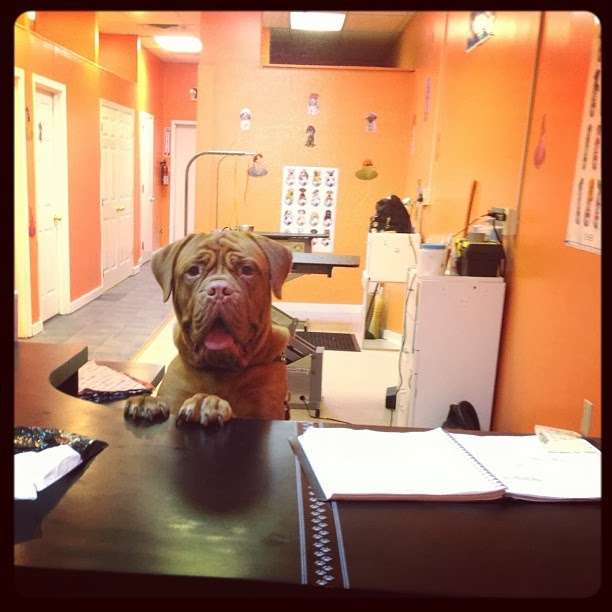 Wiggle Buttz | 125 Merchants Way, Marlton, NJ 08053, USA | Phone: (856) 267-5198