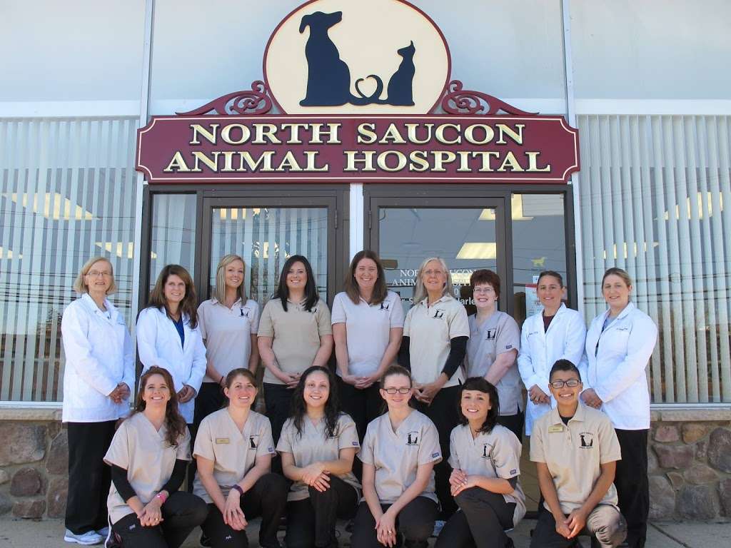 North Saucon Animal Hospital | 3604 PA-378, Bethlehem, PA 18015 | Phone: (610) 867-0800