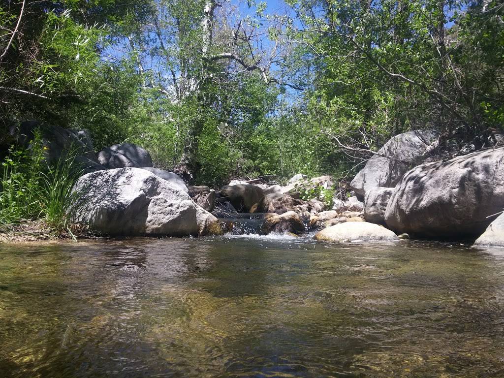 Siberia Creek Campground | Angelus Oaks, CA 92305