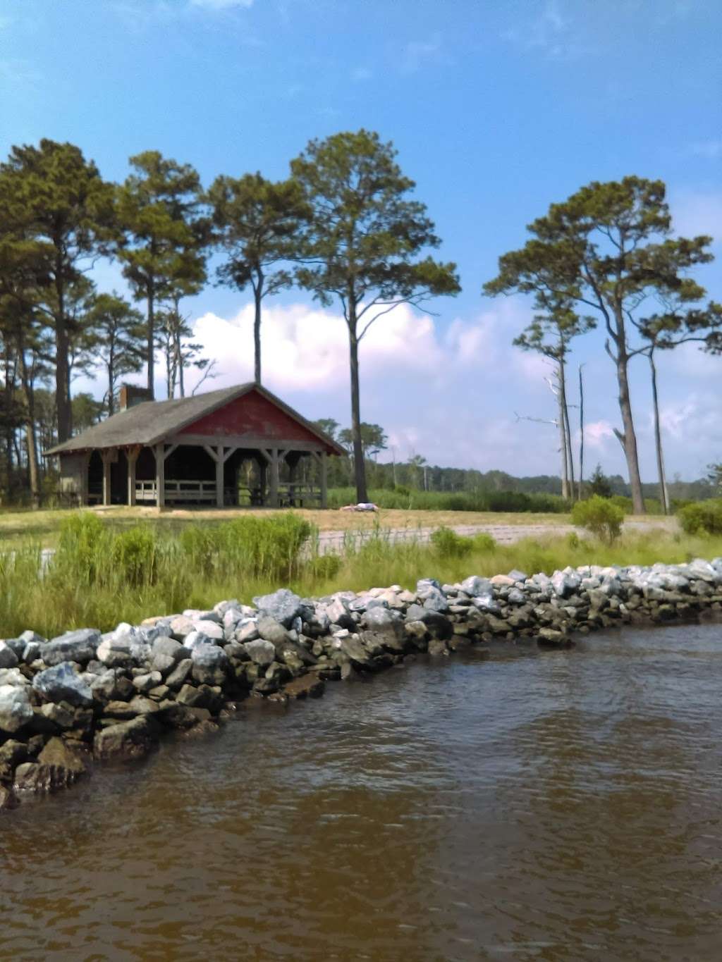 Assawoman Wildlife Area | Delaware, USA