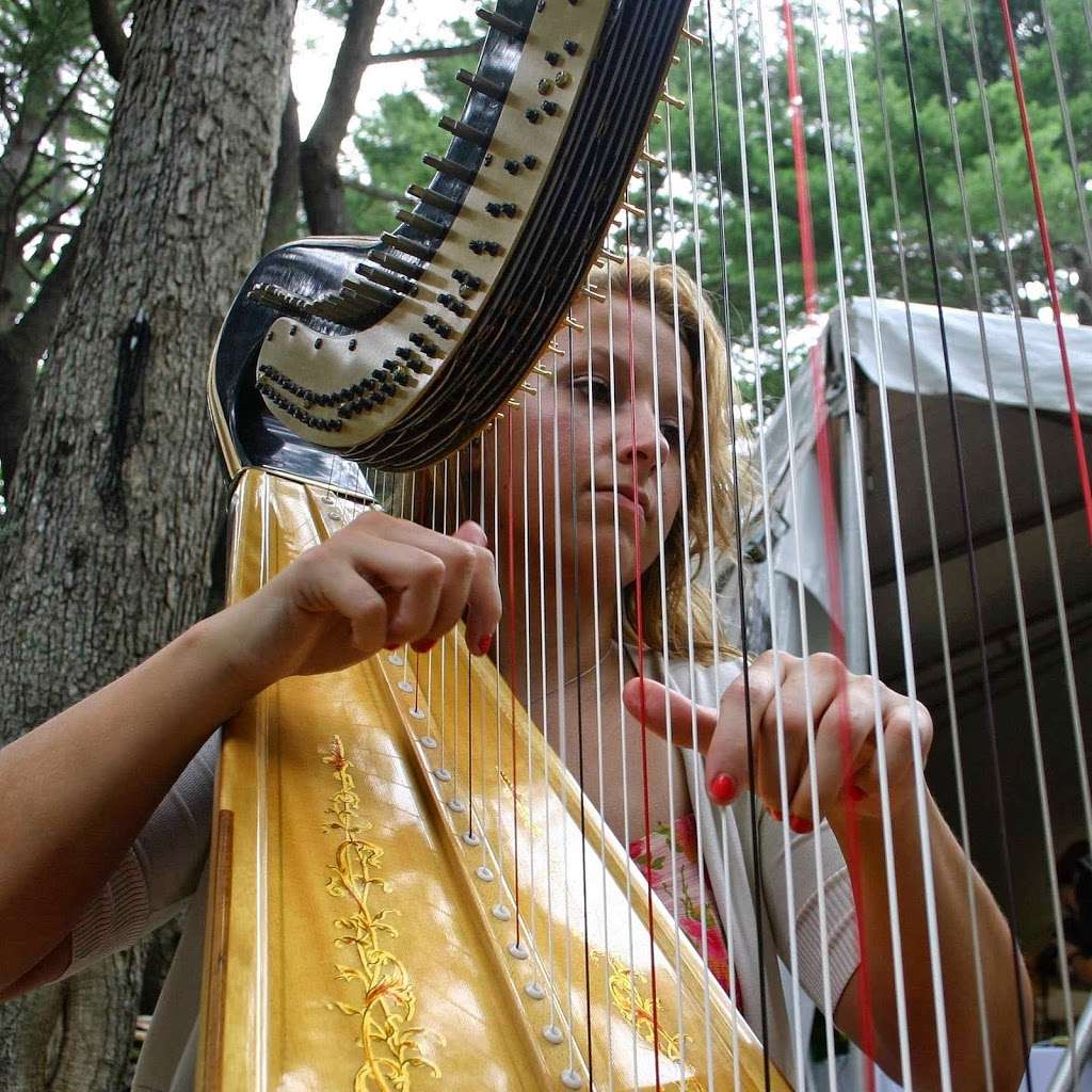 The Modern Harpist | 38A Collins St, Danvers, MA 01923, USA | Phone: (617) 564-0330