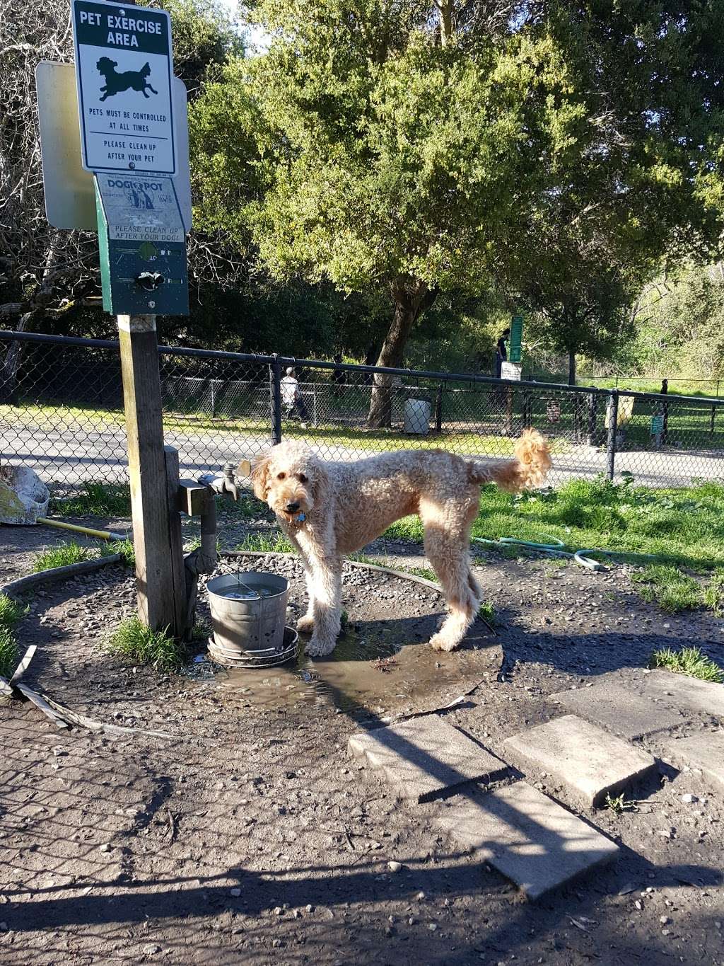 Pinole Dog Park | 1263 Adobe Rd, Pinole, CA 94564