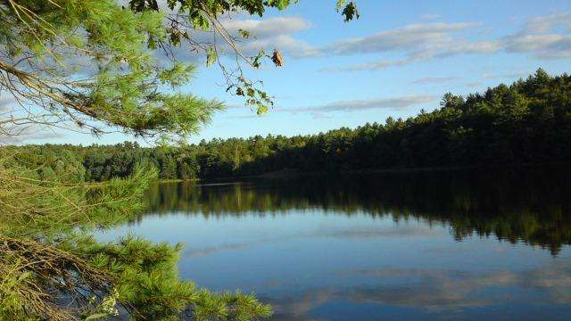 Lakeside Country Cottages & Boat Slip Rentals | 270 PA-507, Tafton, PA 18464, USA | Phone: (570) 226-8907