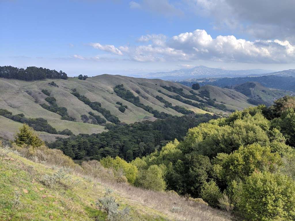 Scotts Peak Trail Head | Orinda, CA 94563