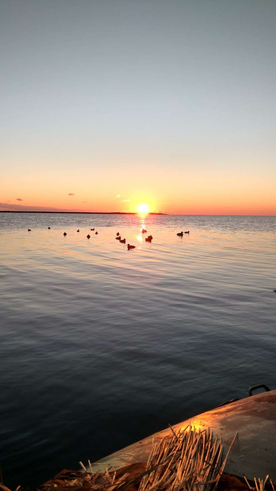 Dameron Marsh Natural Area Preserve | Kilmarnock, VA 22482, USA | Phone: (804) 786-7951