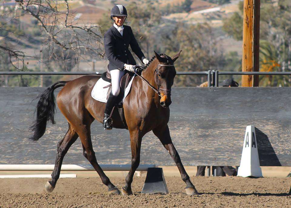 Charis Eventing | 36137 Linda Rosea Rd, Temecula, CA 92592, USA | Phone: (843) 743-9880