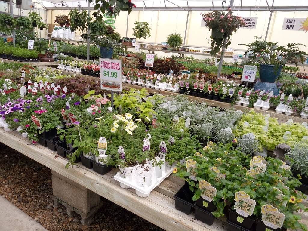 Whites Nursery & Greenhouses | 3133 Old Mill Rd, Chesapeake, VA 23323, USA | Phone: (757) 487-1300