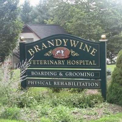 Brandywine Veterinary Hospital | 1270 Baltimore Pike, Chadds Ford, PA 19317 | Phone: (610) 459-0500