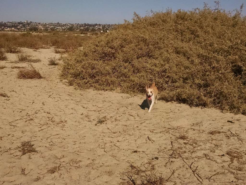 Hunting ,Training Area , North End | 493 Fiesta Island Rd, San Diego, CA 92109, USA