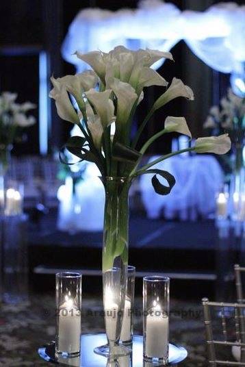 Calla Events - Pittsburgh Wedding Planner | 1841 Babcock Blvd #5, Pittsburgh, PA 15209, USA | Phone: (412) 267-2108