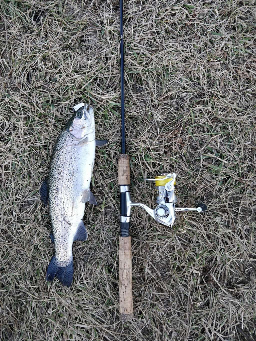 Henrys trout pond | Lawrence, KS 66047, USA