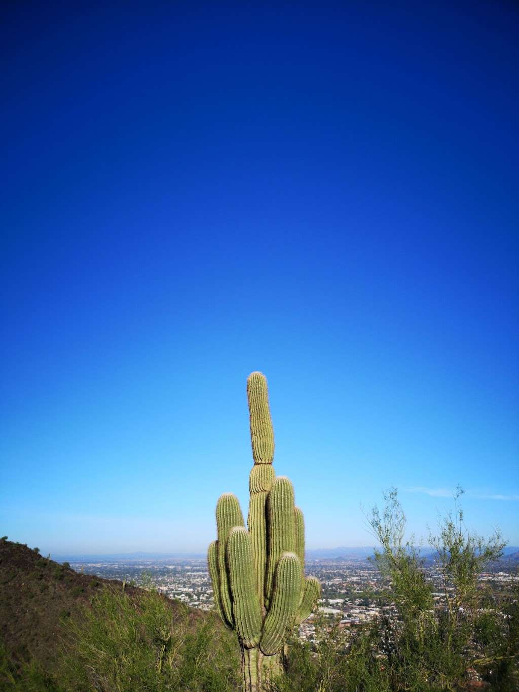 Shaw Butte Trail | Shaw Butte Trail, Phoenix, AZ 85029, USA