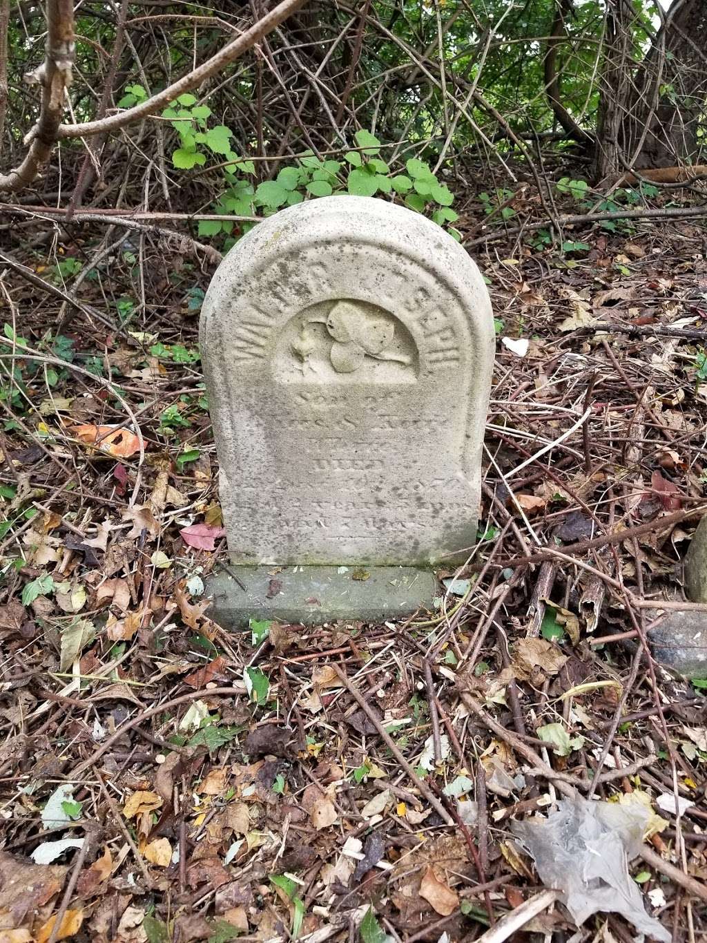 Tremont Cemetery | Norristown, PA 19401