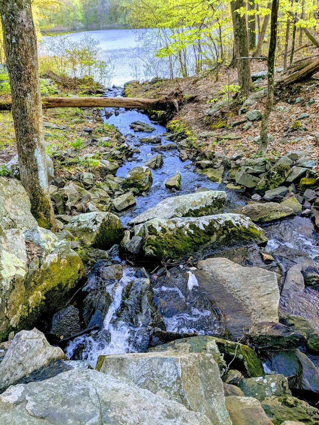 Lime Rock Preserve | Lincoln, RI 02865, USA