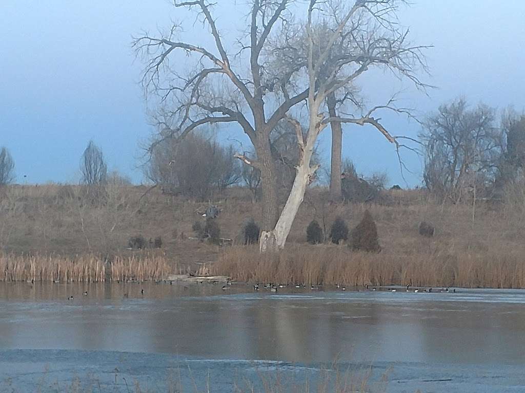 Vogel Pond Open Space | Westminster, CO 80234, USA