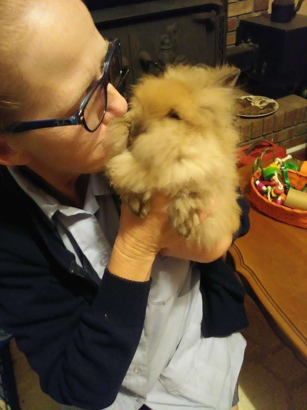 Misty Blues Bunnies | 265 N Scalybark Trail, Concord, NC 28027, USA | Phone: (704) 728-4924