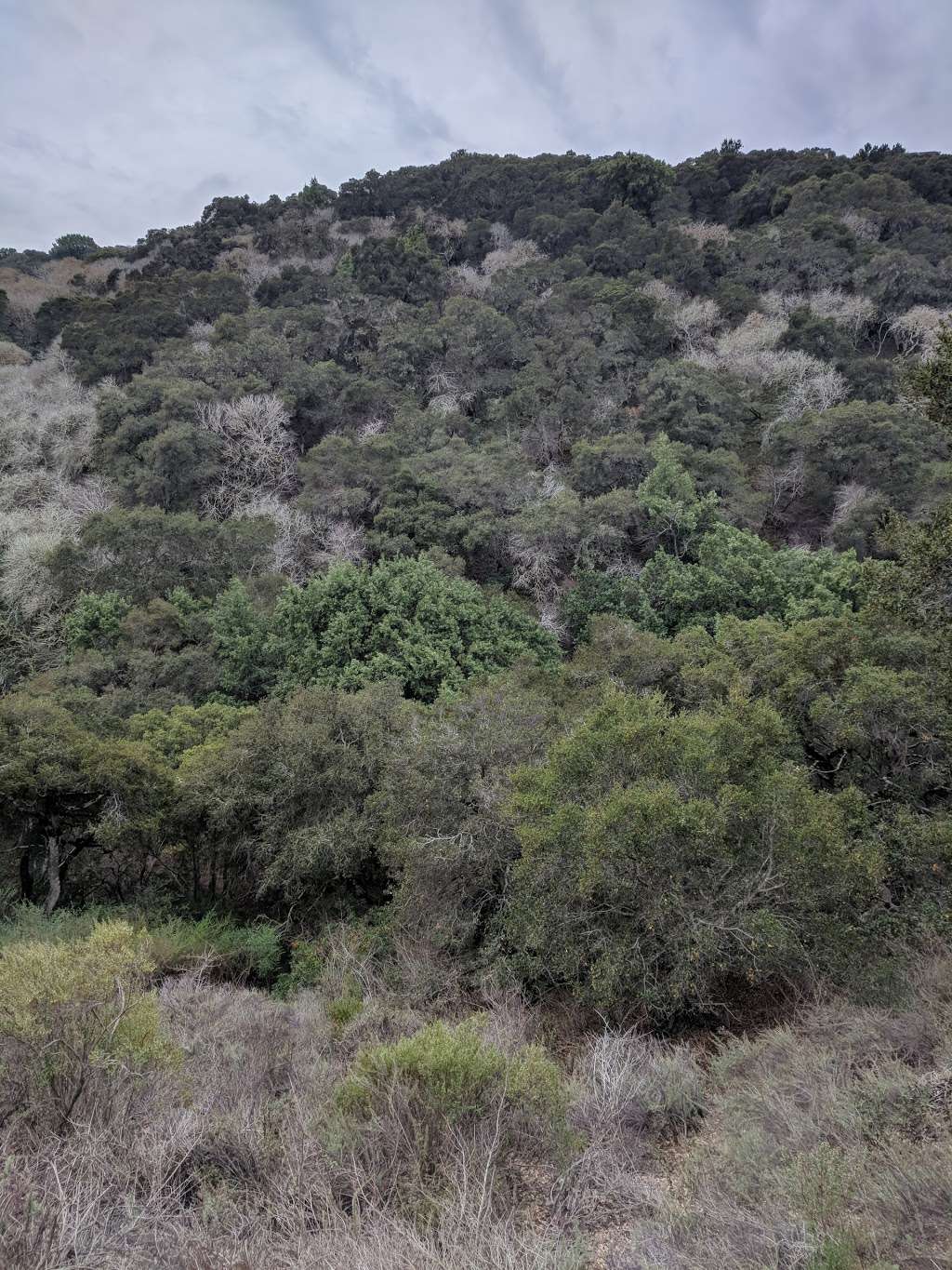 Water Dog Lake trail entrance | Lake Road Trail, Belmont, CA 94002