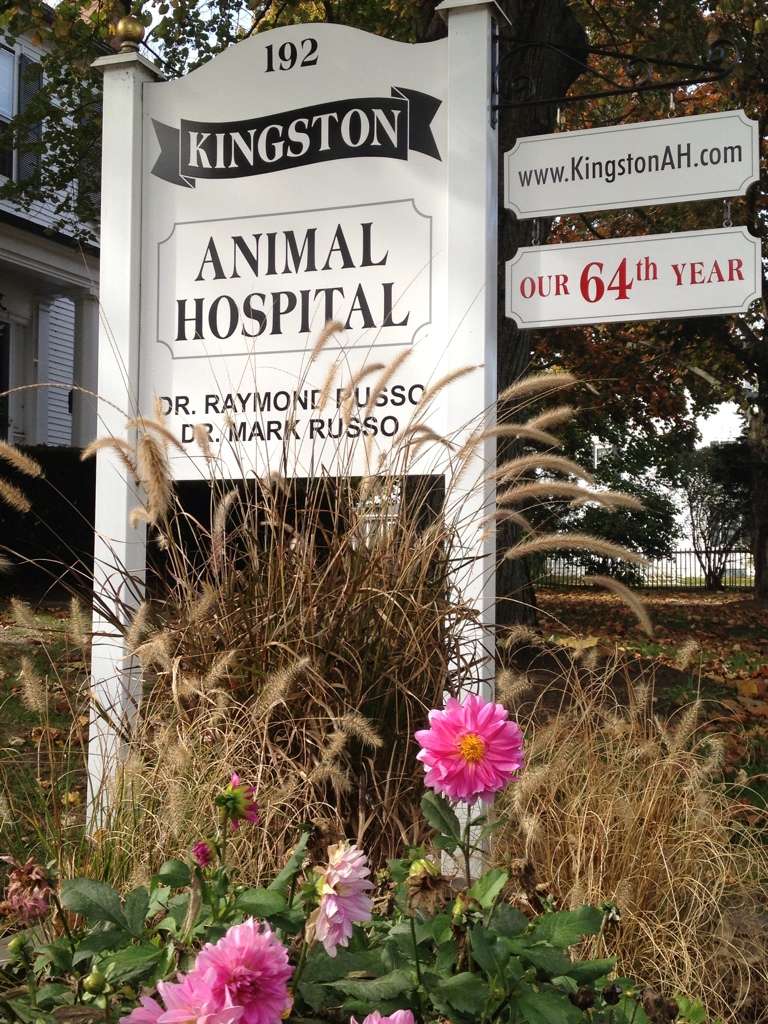 Kingston Animal Hospital | 192 Main St, Kingston, MA 02364, USA | Phone: (781) 585-6525