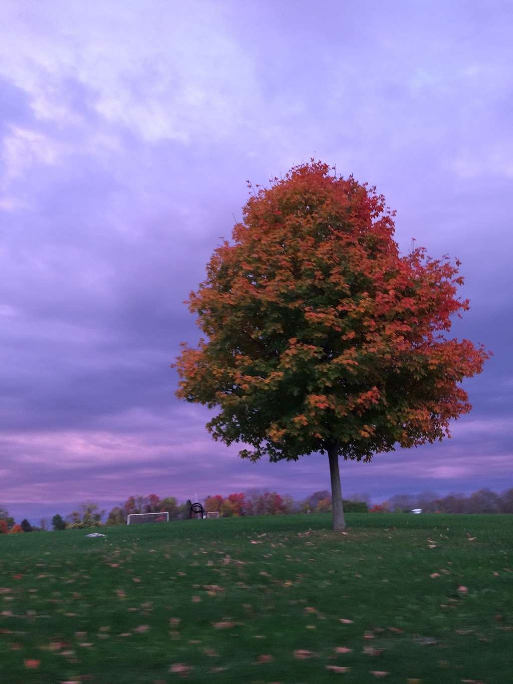 Christie Hoffman Farm Park | 108 Fairmount Rd W, Tewksbury, NJ 07830 | Phone: (908) 439-0022