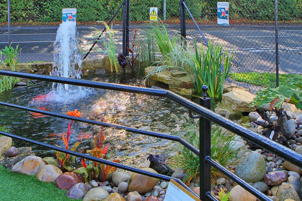 Aquajoy Water Gardens Ltd | Bramley Corner, Epsom Rd, Ashtead KT21 1RB, UK | Phone: 01372 703333