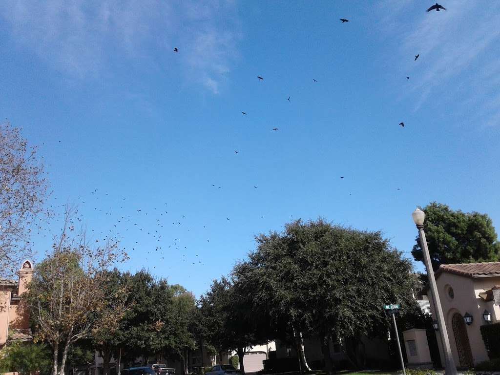 Gallup Fire Protection | 1 Capistrano Vly Rate Ctr, Mission Viejo, CA 92694, USA | Phone: (949) 363-7363