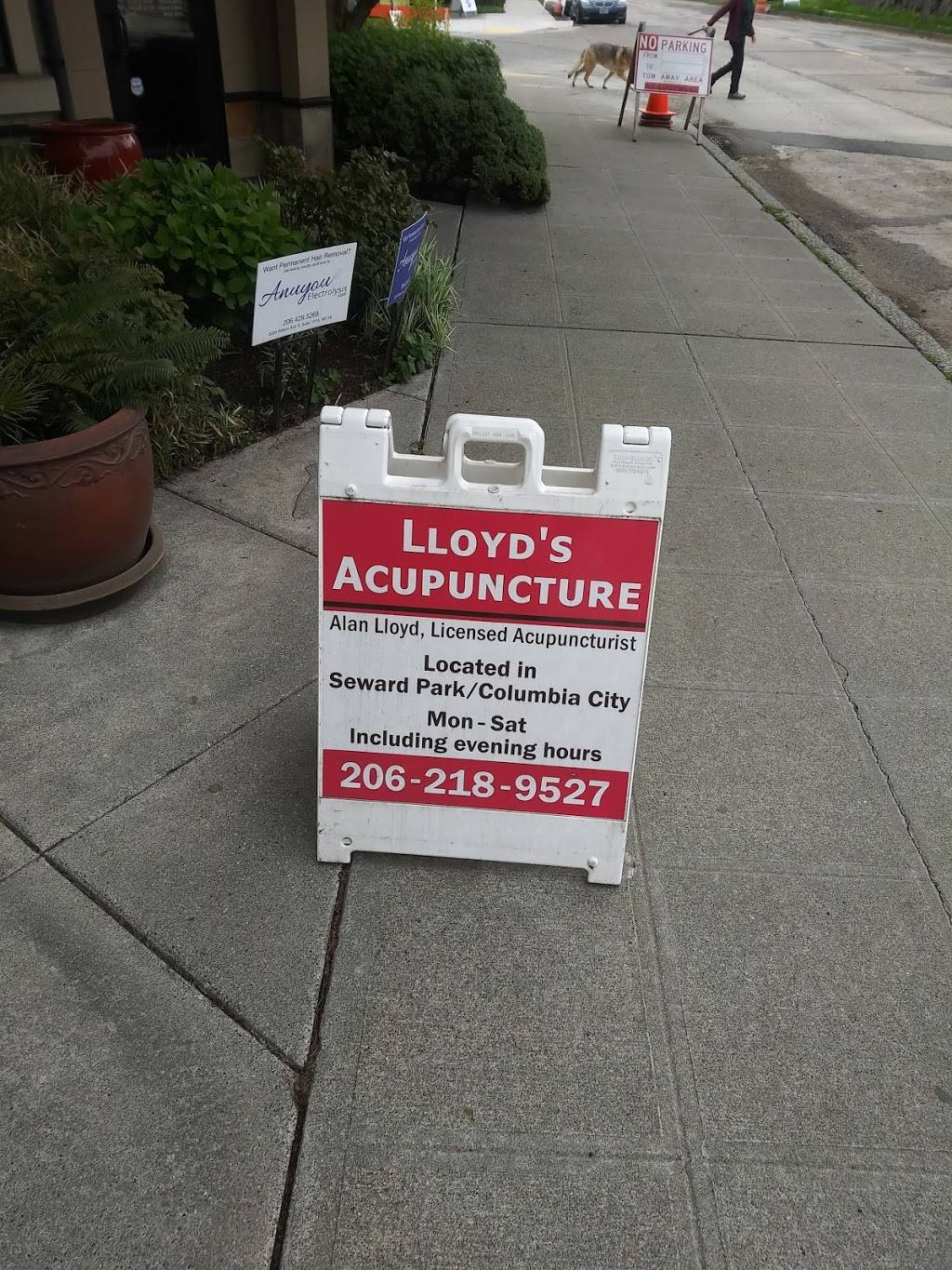 Alan Lloyd, Licensed Acupuncturist | 5224 Wilson Ave S Suite 202, Seattle, WA 98118, USA | Phone: (206) 218-9527