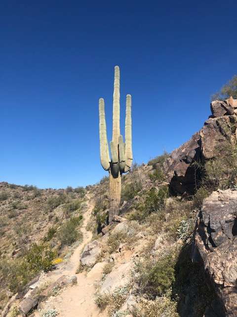 Corona de Loma Trail | Warpaint North, Phoenix, AZ 85042, USA