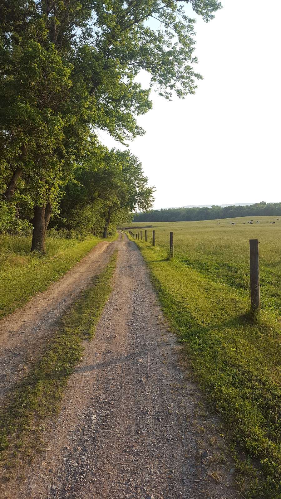 Worthington Farm Parking Area | 4271-4411 Baker Valley Rd, Frederick, MD 21704, USA