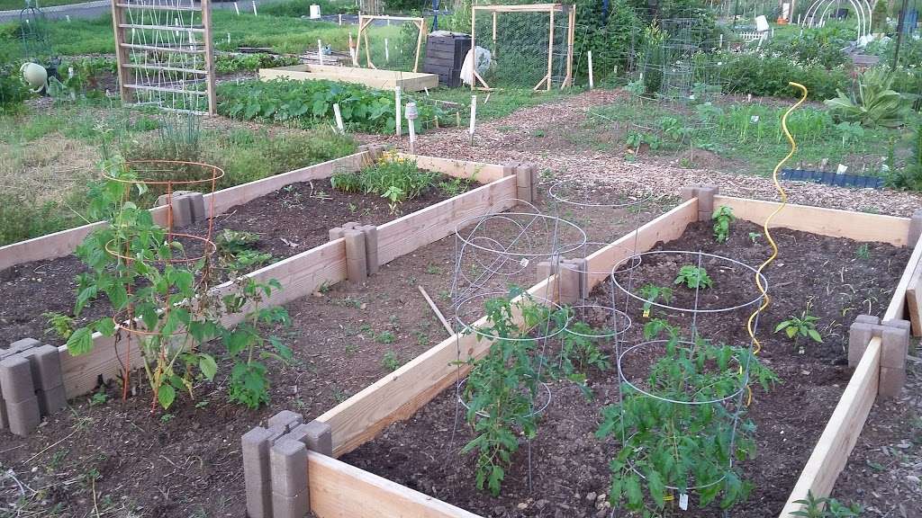 Chinquapin Community Gardens | Chinquapin Dr, Alexandria, VA 22302, USA | Phone: (703) 746-4343