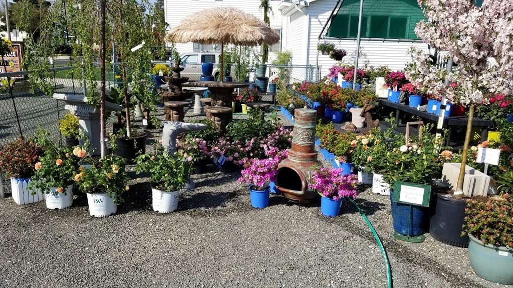 The Garden Market | 398 N Main St, Barnegat, NJ 08005 | Phone: (609) 660-1100