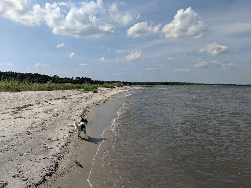 Hughlett Point Natural Area Preserve | Kilmarnock, VA 22482, USA | Phone: (804) 786-7951