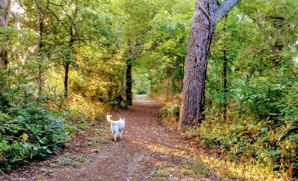 Ten Mile Creek Preserve | 900 Nokomis Rd, Lancaster, TX 75146, USA