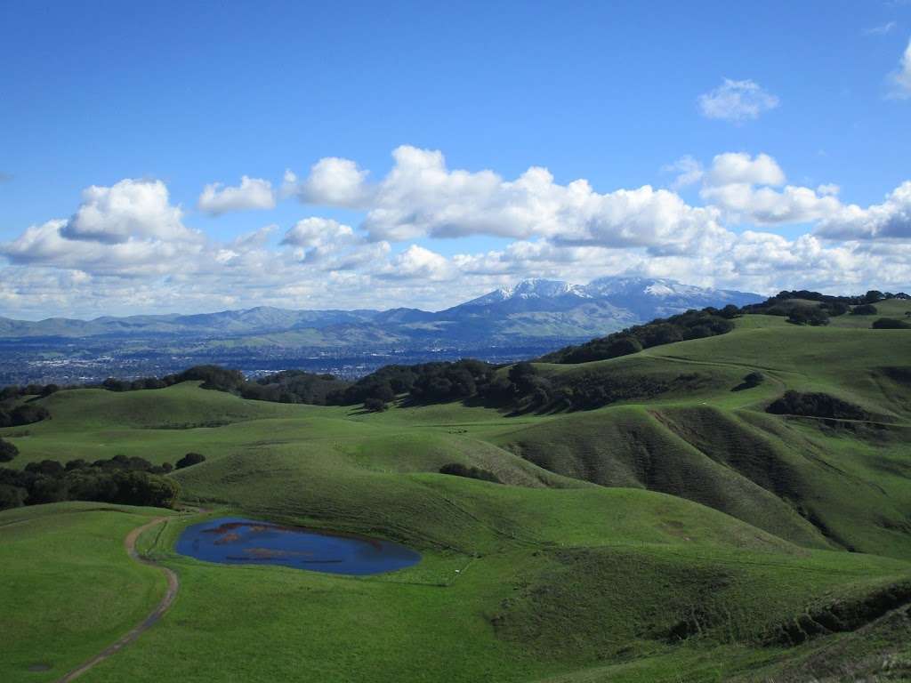 Briones Regional Park | 5363 Alhambra Valley Rd, Martinez, CA 94553 | Phone: (888) 327-2757