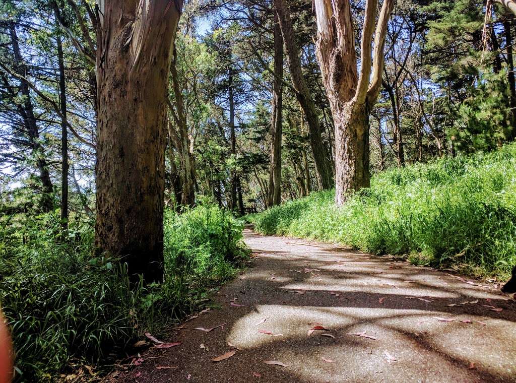 John McLaren Park | 100 John F Shelley Dr, San Francisco, CA 94134, USA | Phone: (415) 831-2700