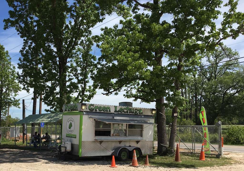 Green Lechuga - Taco food truck | 23033 Gosling Rd, Spring, TX 77389