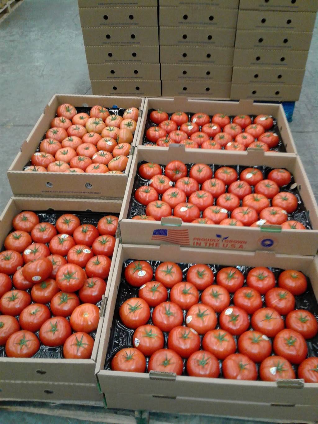 Wheatfield Gardens | 7341 Shawnee Rd, North Tonawanda, NY 14120, USA | Phone: (716) 694-0085 Wheatfield Gardens | 7341 Shawnee Rd, North Tonawanda, NY 14120, USA | Phone: (716) 694-0085