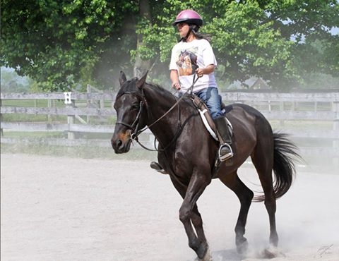 Sunburst Horsemanship School | 1129 Durham Ln, Nicholasville, KY 40356, USA | Phone: (859) 224-8480