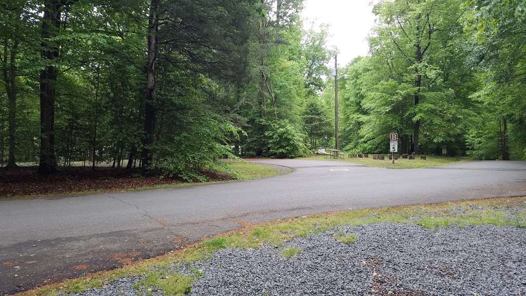 Prince William Forest RV Campground | 16058 Dumfries Rd, Dumfries, VA 22025, USA | Phone: (703) 221-2474