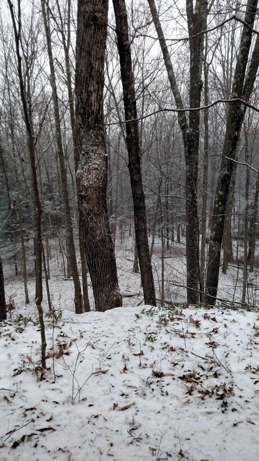 Michaels Deer Stand | Wyalusing, PA 18853