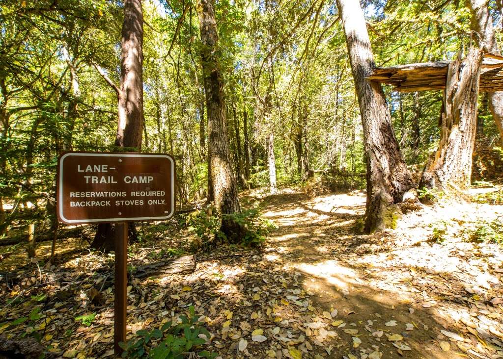 Lane Trail Camp | Boulder Creek, CA 95006, USA | Phone: (831) 338-8861