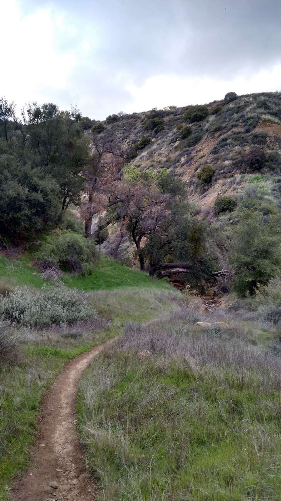 East & Rice Canyons | 3915, 23801 The Old Rd, Newhall, CA 91321, USA | Phone: (310) 459-7049
