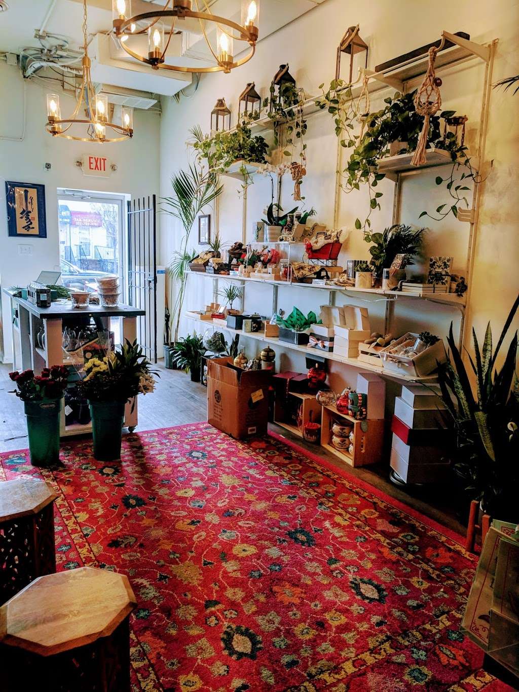Lenfant Flower Shop and Cafe | 703 Kennedy St NW, Washington, DC 20011 | Phone: (202) 554-3480