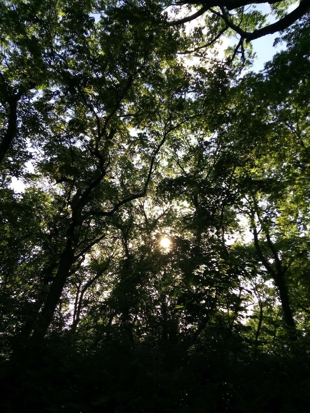 Bennett Park - Shelter #2 | Bennett Park Dr, Liberty, MO 64068, USA