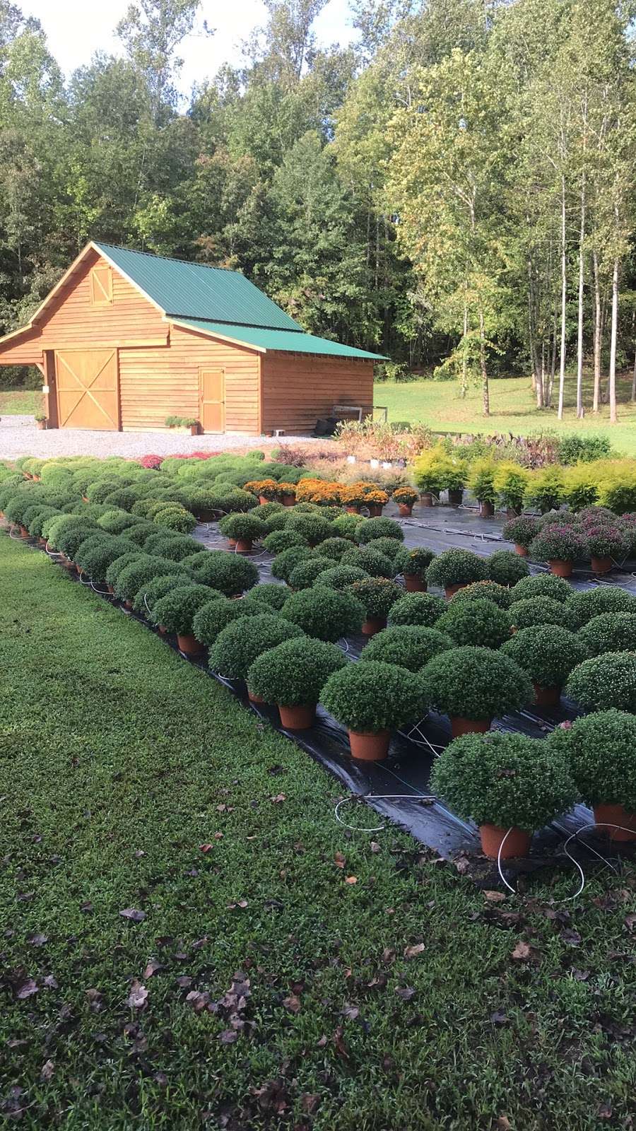 Creekside Nursery, Inc. | 181 Pine Hollow Dr, Dallas, NC 28034, USA | Phone: (704) 689-1446