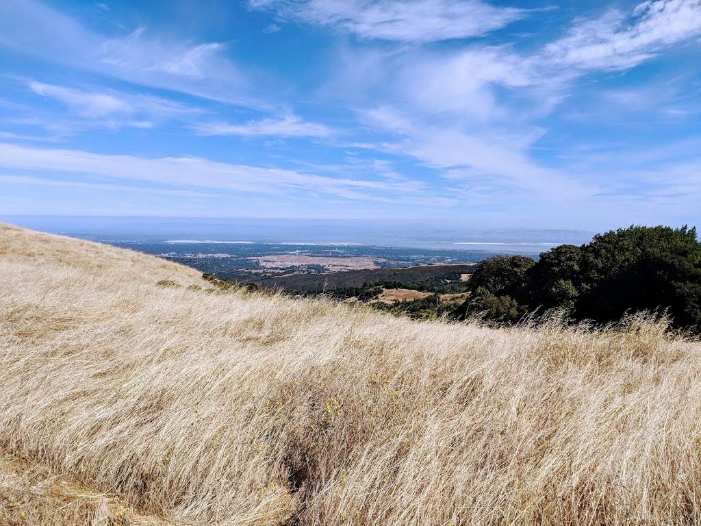 Borel Hill | Redwood City, CA 94062, USA