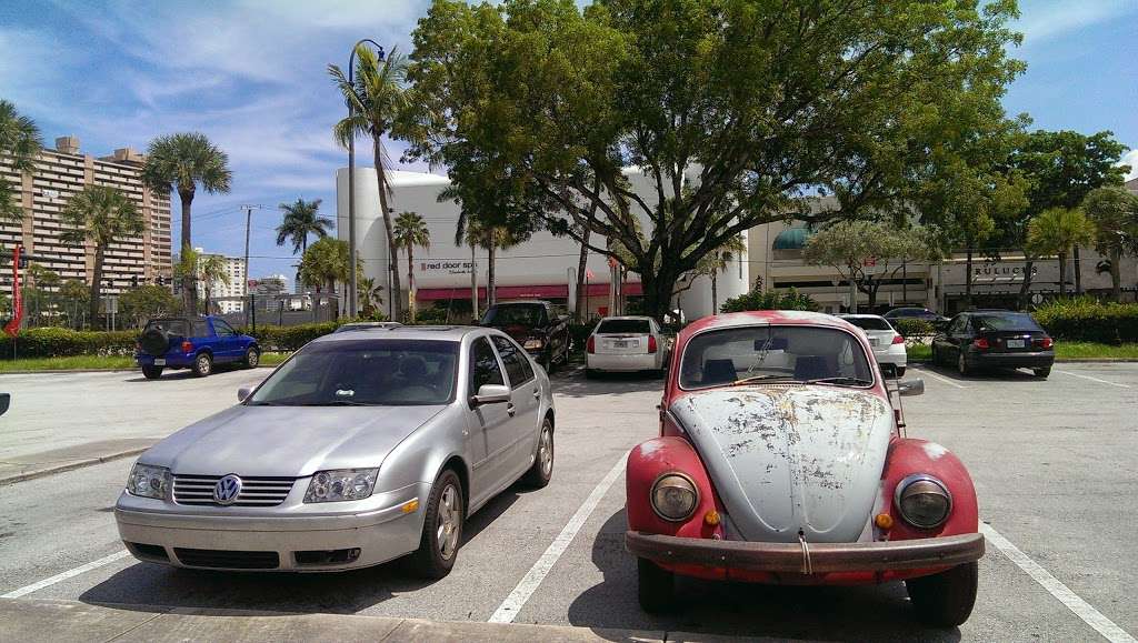 Running Wild | 2563 E Sunrise Blvd, Fort Lauderdale, FL 33304, USA | Phone: (954) 565-9400