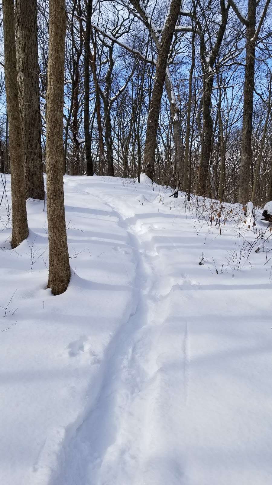 Ice Age Trail Parking Out To Rice Lake | 7206 US-12, Whitewater, WI 53190